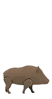 4activean-boar