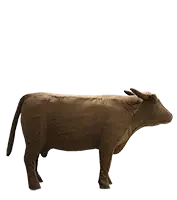 4activean-cow
