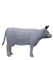 4activean-cow2