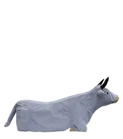 4activean-cow3